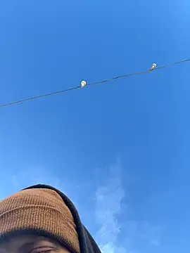 Big German cock974 online show from December 21, 1:40 pm