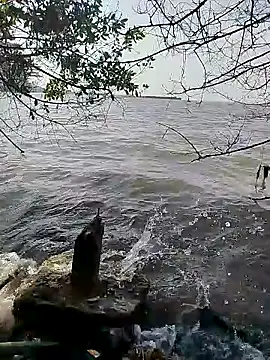 Snapshot of Andreskelly chatting on February 16, 1:51 pm Andreskelly online show from February 16, 1:51 pm