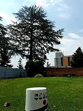 PetiteDoll 06 online show from February 21, 11:55 am