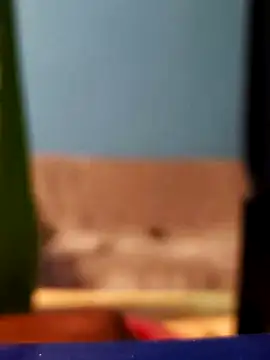 Roberto772 online show from February 26, 3:38 am