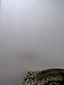 twinkarabboy online show from February 17, 11:29 am