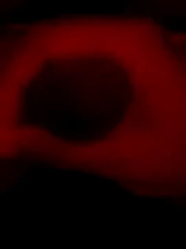 DaveeeIsTheone online show from January 6, 12:14 am