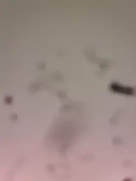 Snapshot of M8ygcthf3 chatting on March 22, 6:50 am M8ygcthf3 online show from March 22, 6:50 am