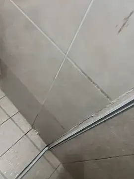 sugar babyy1 online show from March 18, 3:31 am