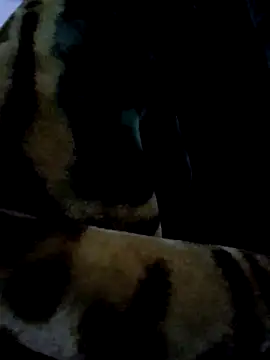 aman4404 online show from January 6, 10:30 am