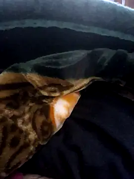 aman4404 online show from March 14, 4:07 am