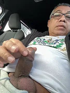 tigre6911 online show from February 26, 5:12 pm