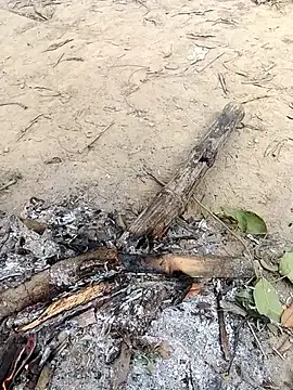 Snapshot of rahulsexybhabhi chatting on December 18, 5:02 am rahulsexybhabhi online show from December 18, 5:02 am