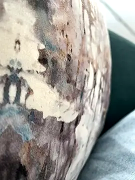 Snapshot of Farawz chatting on December 17, 6:47 pm Farawz online show from December 17, 6:47 pm