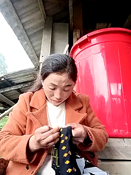 seacyre online show from December 23, 1:36 am