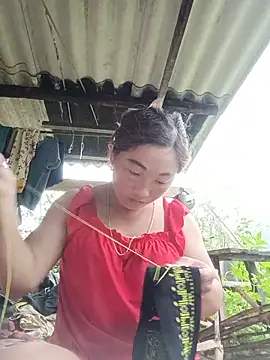 seacyre online show from June 14, 2:24 am