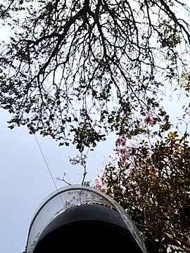 Snapshot of bnglrboy0886 chatting on March 7, 10:01 am bnglrboy0886 online show from March 7, 10:01 am