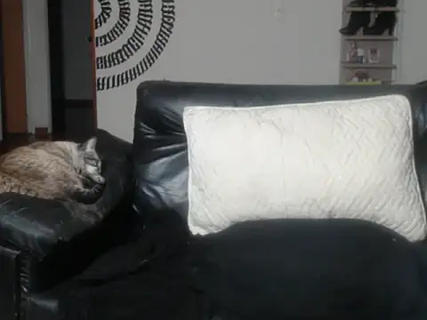 Snapshot of BeautyYoungblond chatting on March 14, 2:39 am BeautyYoungblond online show from March 14, 2:39 am