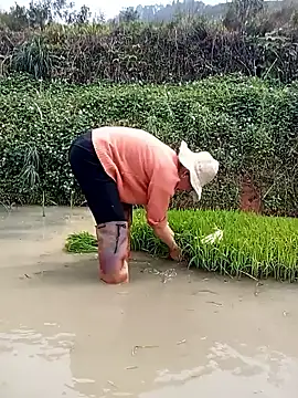 Girl cutee online show from March 16, 6:39 am