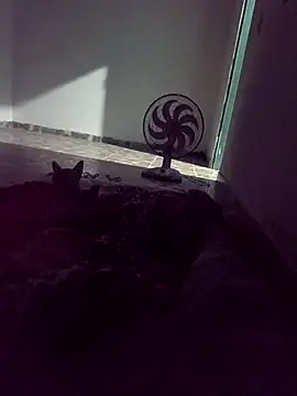 WPS15 online show from April 15, 11:27 pm