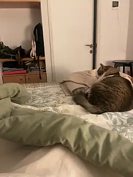 latinkitsune online show from December 17, 4:18 am