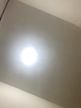 roger rabiit online show from December 19, 1:12 am