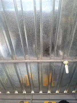 Snapshot of biggy_mash chatting on December 17, 10:32 am biggy mash online show from December 17, 10:32 am