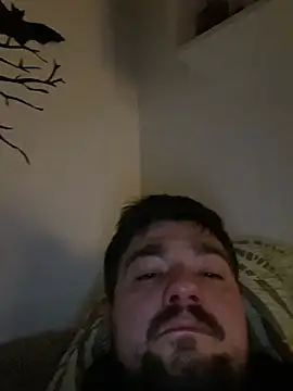 LienalWarplane online show from February 20, 1:24 am