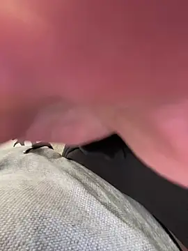 LienalWarplane online show from March 9, 12:20 pm