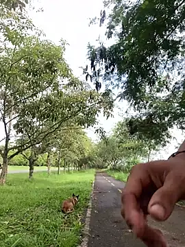 Snapshot of Maicol_xxxx chatting on March 12, 2:01 pm Maicol xxxx online show from March 12, 2:01 pm