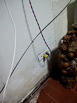 Snapshot of thobaby99 chatting on January 9, 7:55 am thobaby99 online show from January 9, 7:55 am