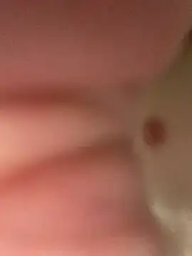 Snapshot of heath82841 chatting on February 11, 11:48 am heath82841 online show from February 11, 11:48 am