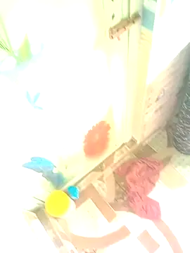 Hooghlypinkivabi online show from January 10, 7:32 am