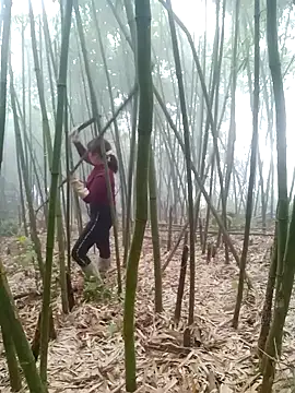 yeutinh00 online show from March 11, 1:00 am