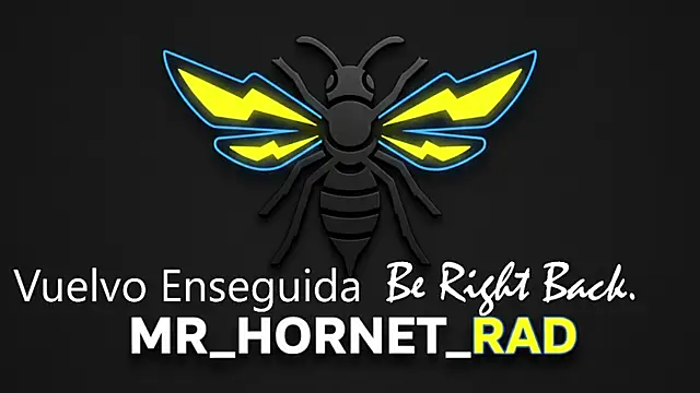 s hornet online show from May 4, 1:18 pm