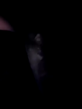 SweetTastes online show from February 21, 12:39 pm