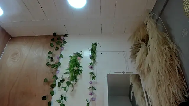 Alice randyy online show from February 10, 1:04 pm