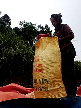 Snapshot of vanvan005 chatting on July 15, 10:31 am vanvan005 online show from July 15, 10:31 am