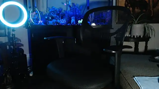 EspanolVato online show from February 21, 9:43 am