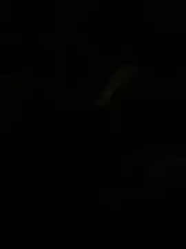 Snapshot of Herr_Snusk chatting on July 1, 12:12 am Herr Snusk online show from July 1, 12:12 am