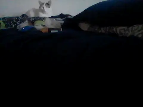 Snapshot of Silencio26 chatting on February 24, 9:24 pm Silencio26 online show from February 24, 9:24 pm