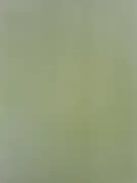 Snapshot of Amelia9798 chatting on May 1, 9:08 pm Amelia9798 online show from May 1, 9:08 pm