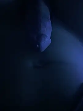 fofi77 online show from April 17, 9:29 pm