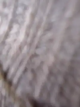 Cataleya 16 online show from March 15, 7:09 pm