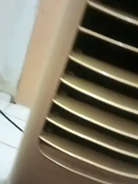     gozada---- online show from January 15, 9:51 pm