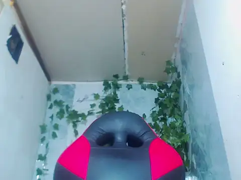 Negri hot crazy online show from February 15, 1:02 am