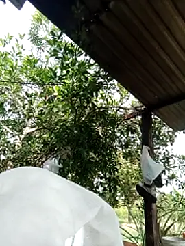 -Nicole-e online show from February 10, 7:12 am