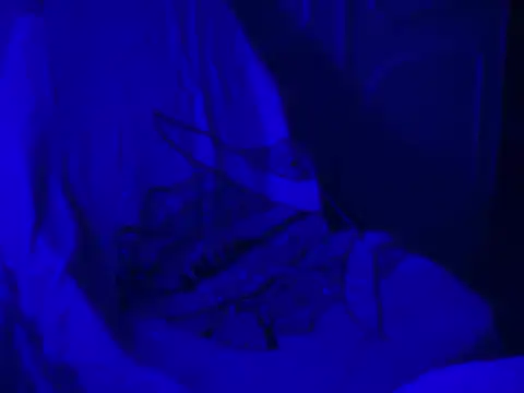 WarmSound online show from January 17, 8:52 am