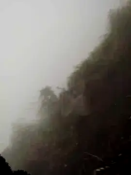 cdyyds-69 online show from March 11, 1:55 am