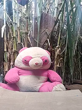 leona118 online show from February 11, 1:32 am