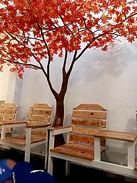 Dante Knox online show from February 24, 11:41 am