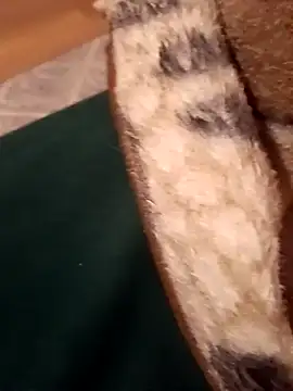 Snapshot of luidzipioro chatting on February 10, 1:21 am luidzipioro online show from February 10, 1:21 am