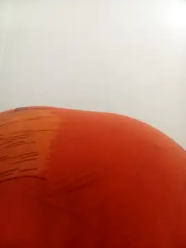 PatriciaVen online show from February 9, 4:16 am