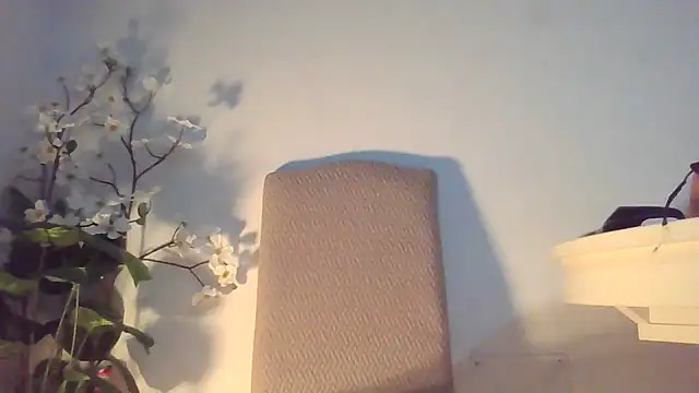 Dolcezzastella online show from March 1, 7:43 am