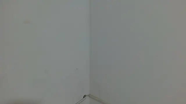 princess1609 online show from March 4, 1:17 pm